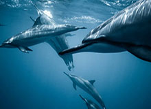 别急着下结论：足彩这期最怕的不是冷，是天气